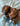 SleepZone,Bedding,LanaAndLuke,Puppies,Pillow,ComforterSet