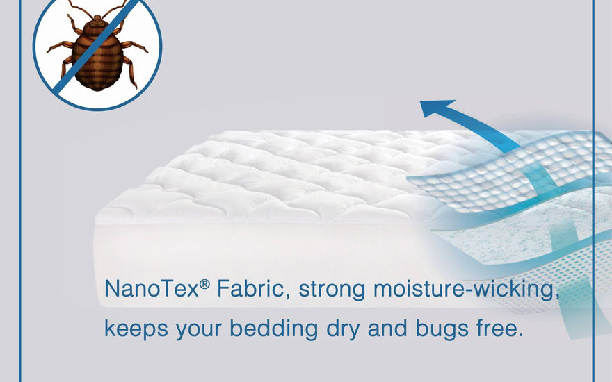 Tired of bedbugs? Scared that you might get them too? Here are some things you need to know to treat and prevent them!