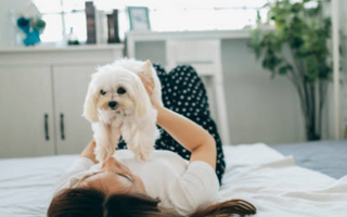 How to Protect Your Mattress If You Enjoy Sleeping with Your Pets?