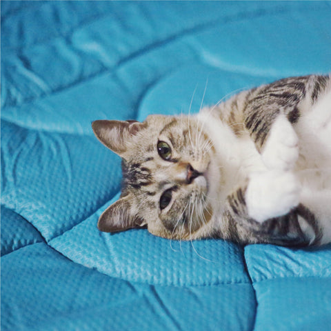 How To Choose The Most Comfortable Mattress Pad For Summer