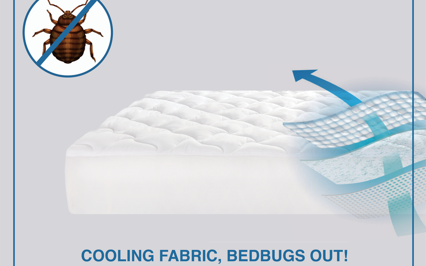 Get Rid Of Bed Bugs And Have Better Sleep & Happier Life