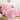 Ballet Pink Kids Comforter Set Girl's Bedding Set