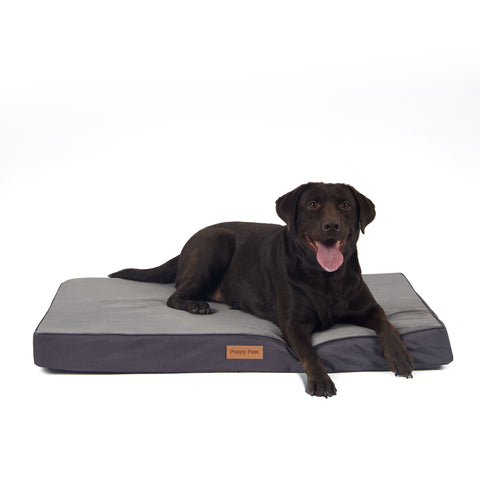 PUPPY PAW Gel Memory Foam Orthopedic Dog Bed