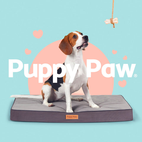 PUPPY PAW Gel Memory Foam Orthopedic Dog Bed
